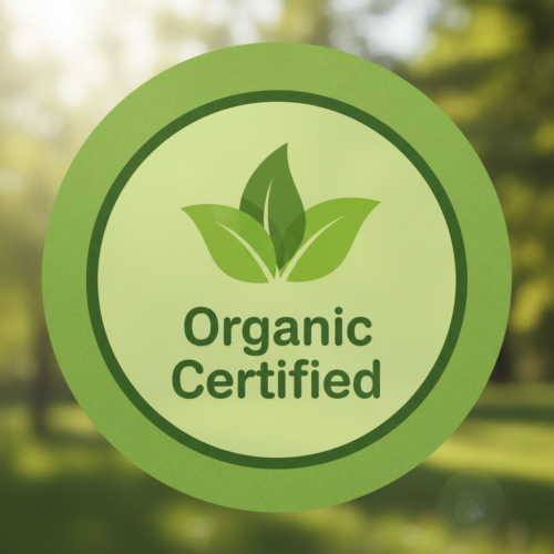 rocket_gen_img_14b97bab0-1764656583292